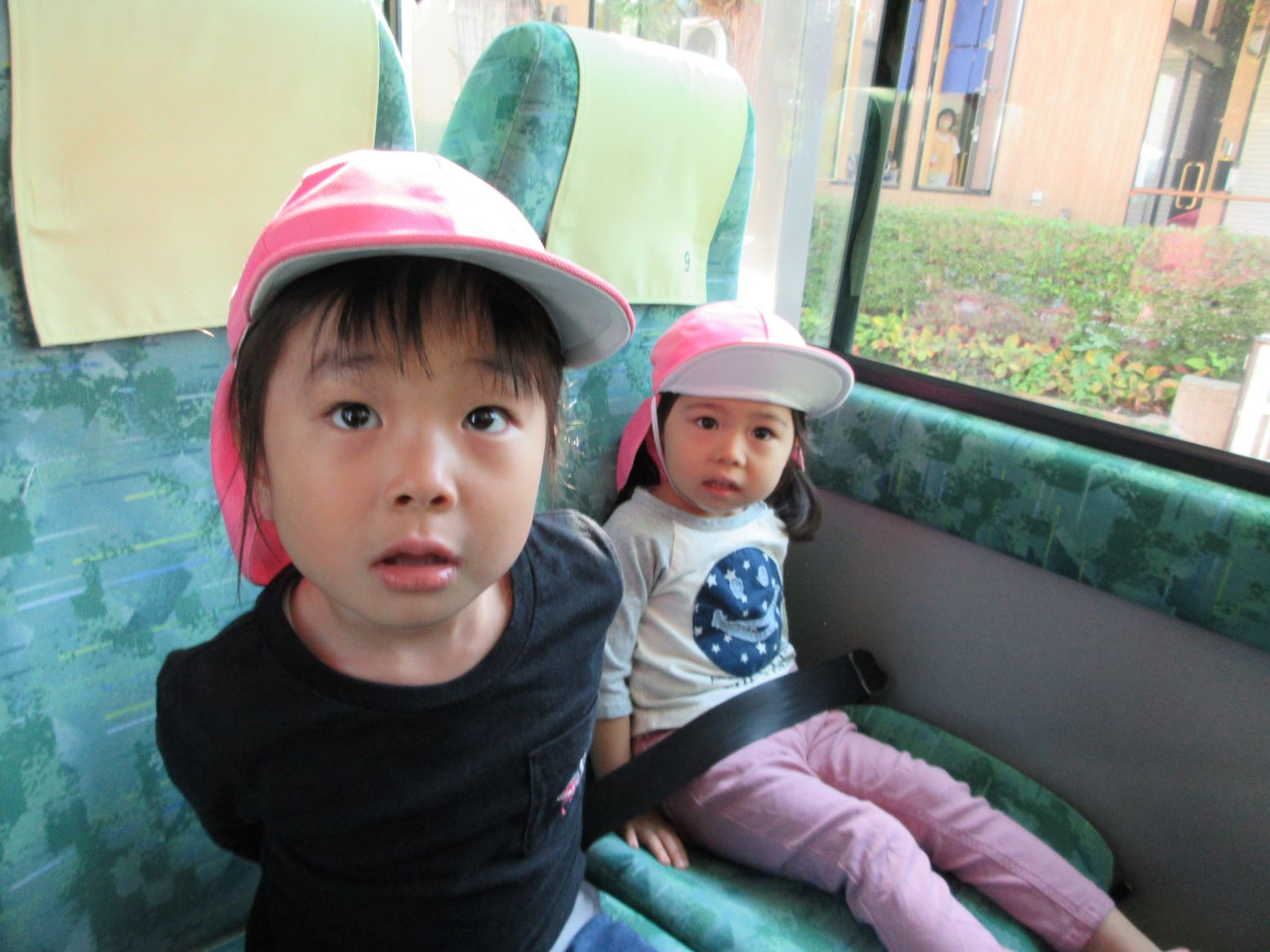 1243-3.jpg