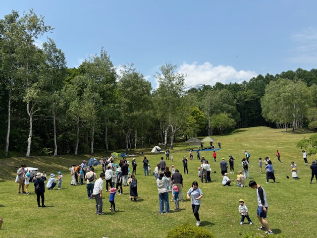 1371-1.jpg